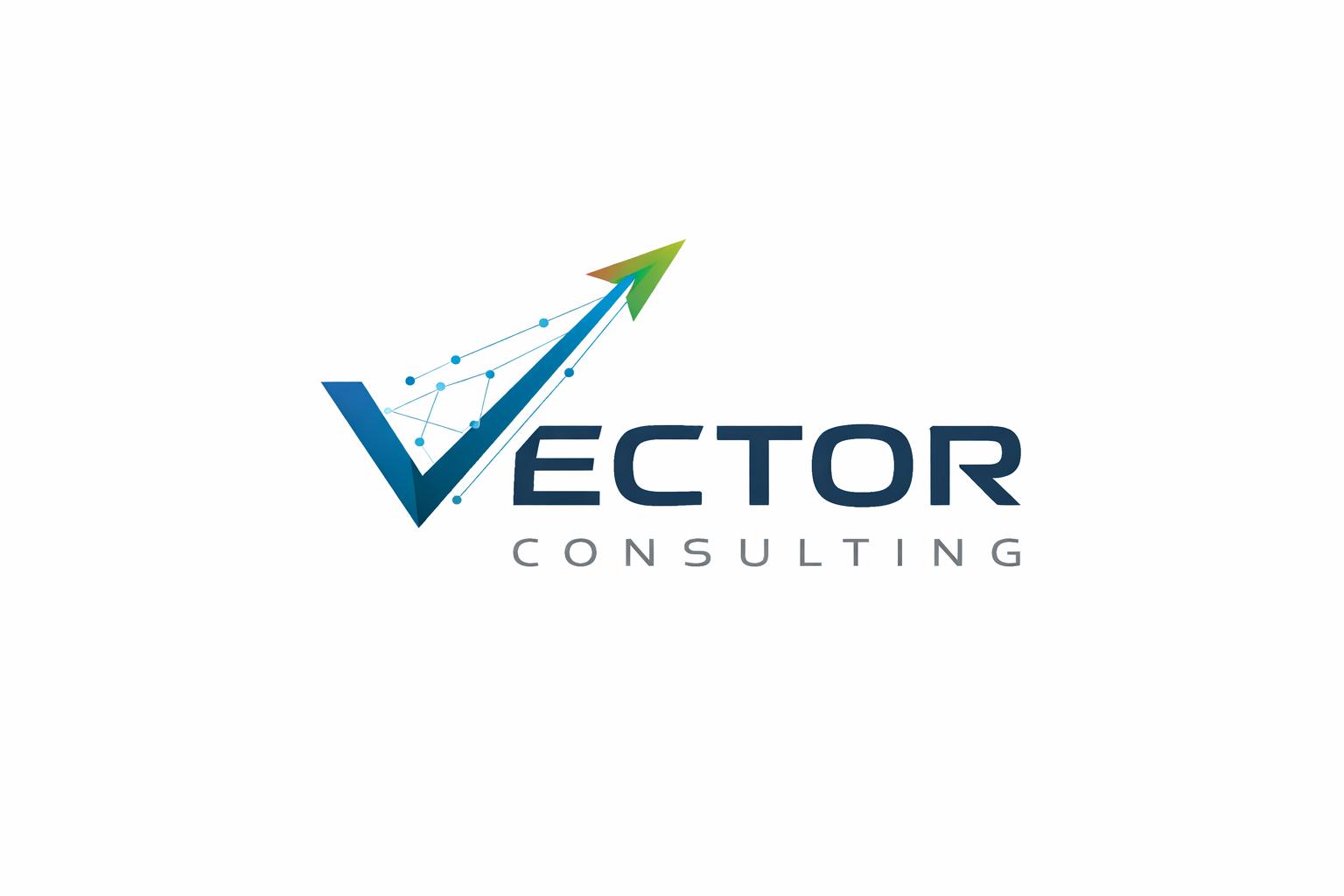 Vector Consulting